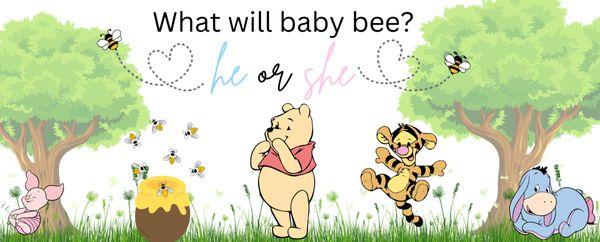 Aj Signs and Graphics