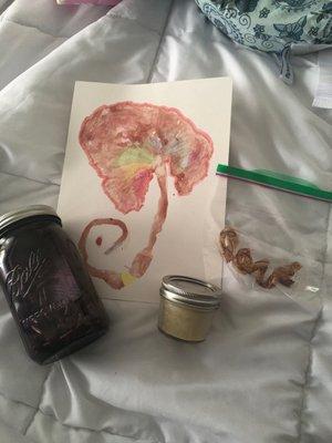 Placenta keepsake artwork and trinket, capsules, and salve