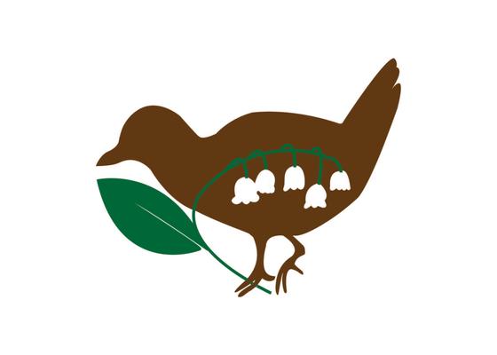 Sora Creative Content