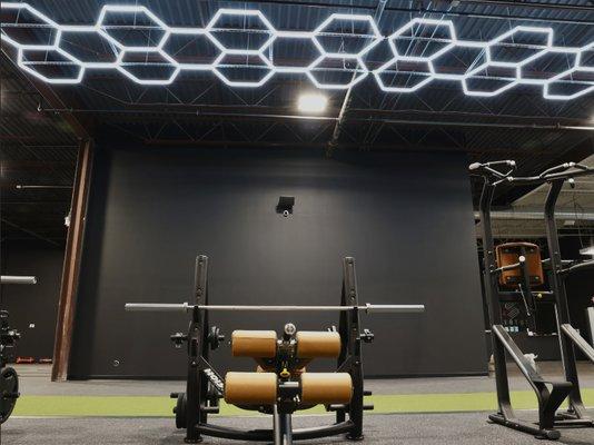 Status Strength and Fitness