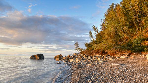 Wild Wild - World Wide Expeditions