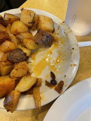 The pancakes were raw and the potatoes were extremely greasy! Service was horrible! Never go there!