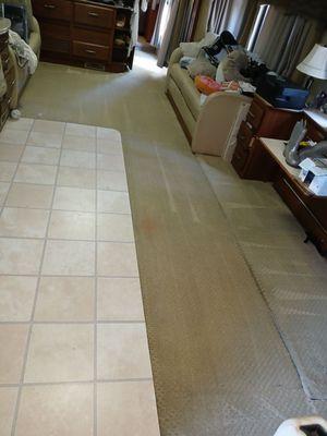 A Choice Carpet & Upholstery Cleaning