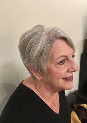 Scissor Sisters Salon