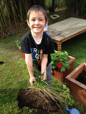 Chabad of Cheviot Hills