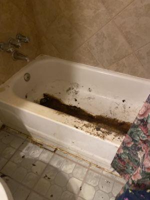 Elite Cleaning Service