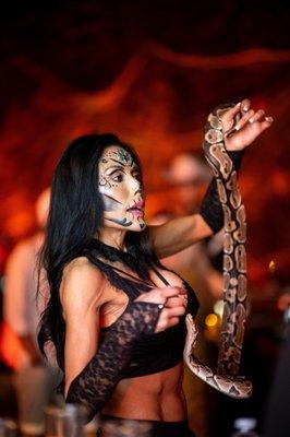 Belly Dancers & Snake Charmers -The Jewels That Raq