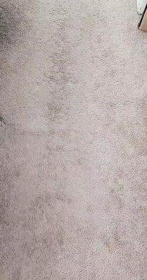 Linda's Cleaning Services