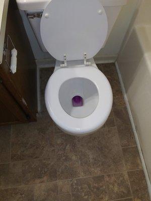 Blessed Hands Premium Cleaning Solutions