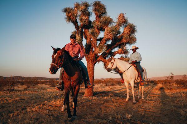 Need a Horse for a Photo Shoot? Give us a call to rent a horse for photo and film ready for their closeups!