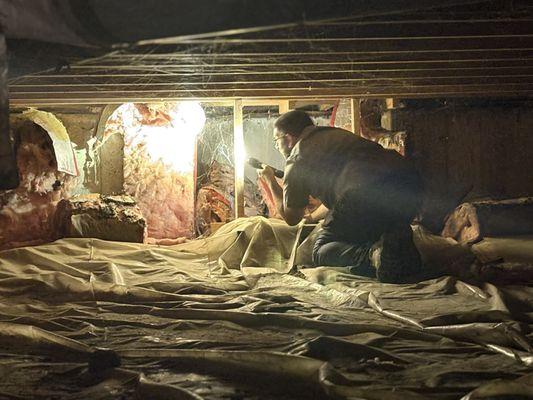 Erie Inspection Service