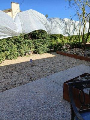 Greenest Landscaping