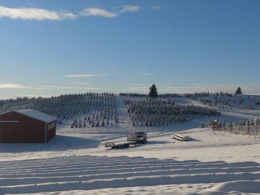 Photo from their FB page