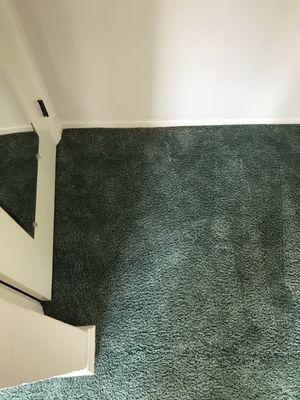Chem Dry Century Carpet Cleaning