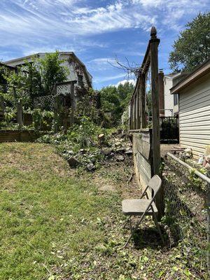 John Allen Tree And Landscaping