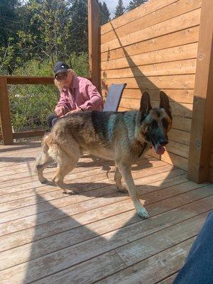 Kittredge Animal Clinic