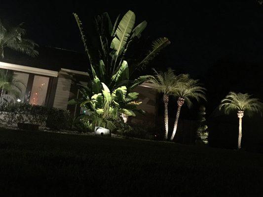 Lightning shows off your landscaping