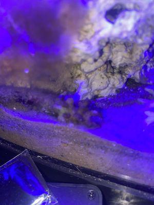 Drew’s Aquatic Realm