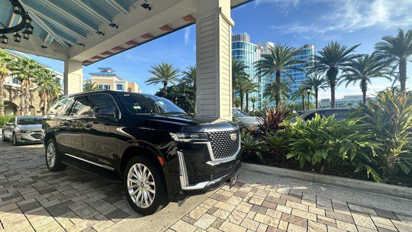 Bravo Traveller Transportation