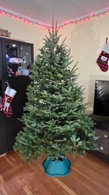 Ricky's Flower Market