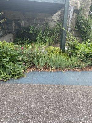 Colonel Ludlow Bed & Breakfast Inn