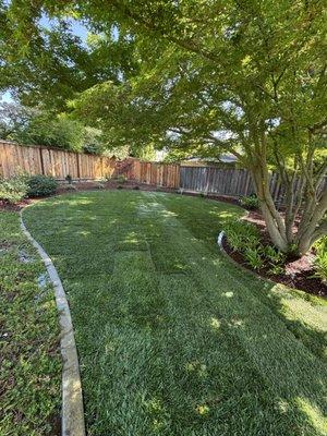 BL Landscape Creations