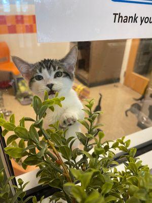 Bernalillo County Animal Care & Resource Center