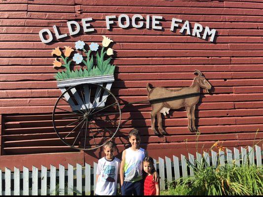 Olde Fogie Farm Bed & Breakfast