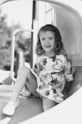 Pink Dahlia Photography