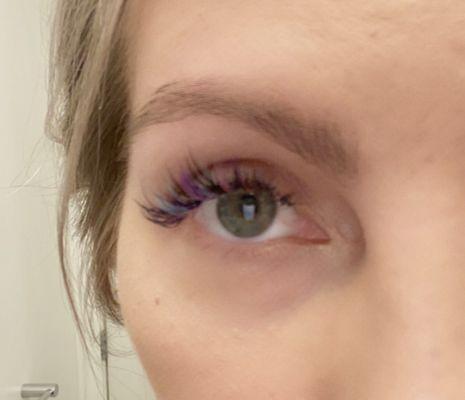 Best Lashes By Daria Golub