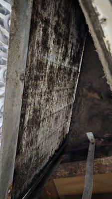 One Stop Home Inspections