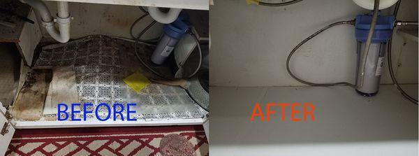 My Kitchen cabinet is fixed!