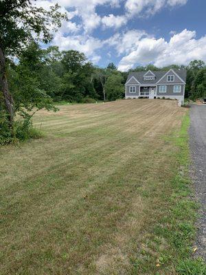 Friendly Landscaping