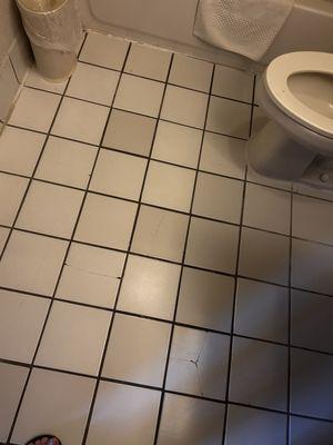 Floor in the bathroom was soft and had a dip in it. Also toilet wouldn't flush