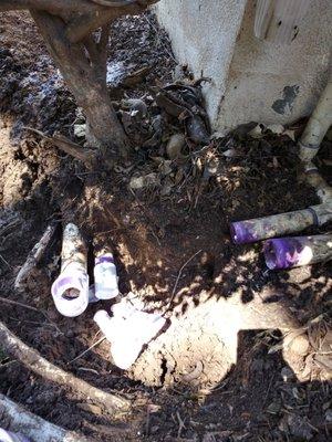 I don't like the services for tree trimming because he's damaged the PVC pipe and no license no insurance