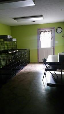 Our grooming area