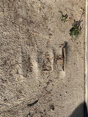 Miramar Pavers & Design