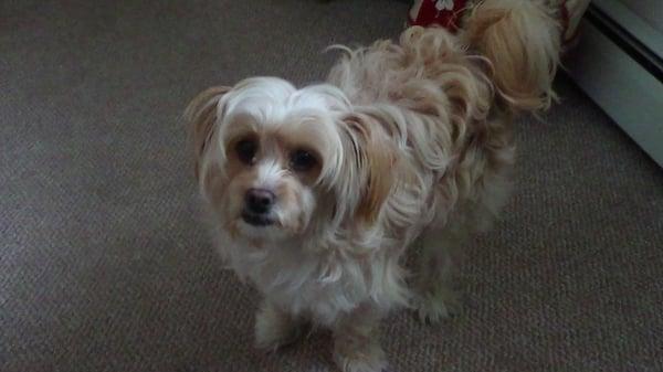 Fruit Valley Veterinary Clinic