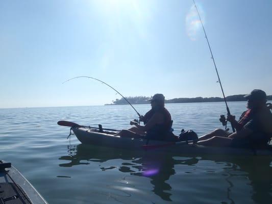 Kayak Kings of Key West