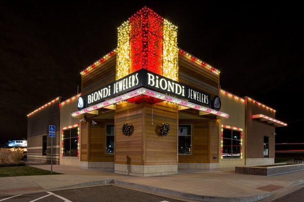 The Christmas Light Professionals