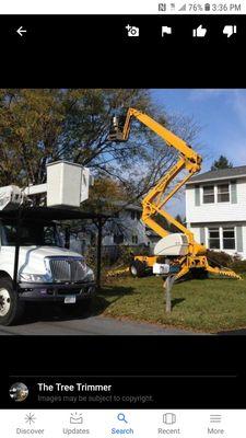 The Tree Trimmer