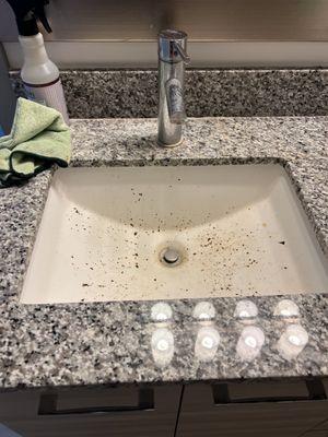 Luca General Services