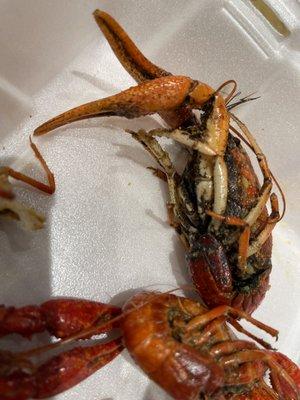 Dirty crawfish