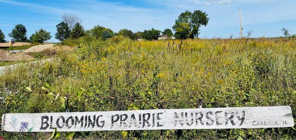 Blooming Prairie Nursery