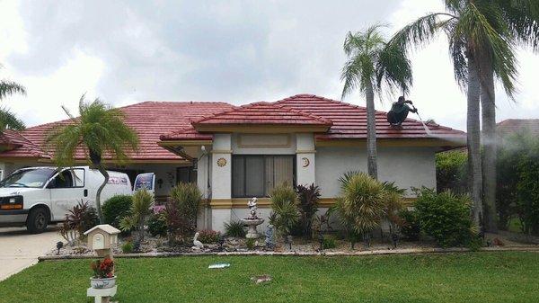 Prestege Cleaning Services