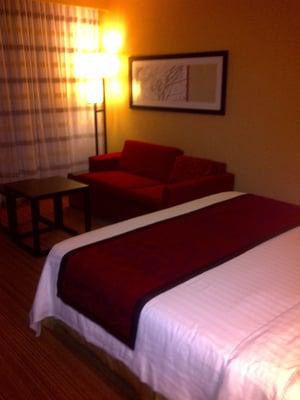 King room with pull out couch