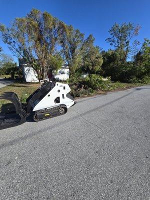 Davis Lawn and Landscape