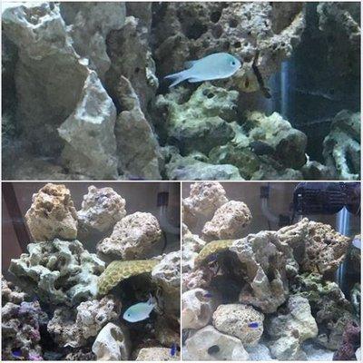 Come check out the fish in our aquarium.