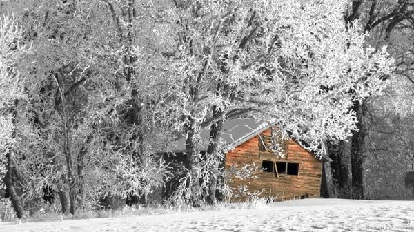 Mesquite Art Gallery