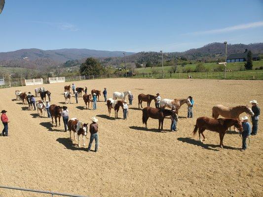 Evening Breeze Arena